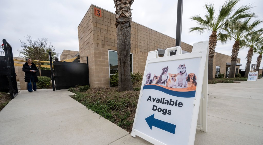 OC pays $450,000 to shelter volunteer who was mauled by a dog – Orange County Register