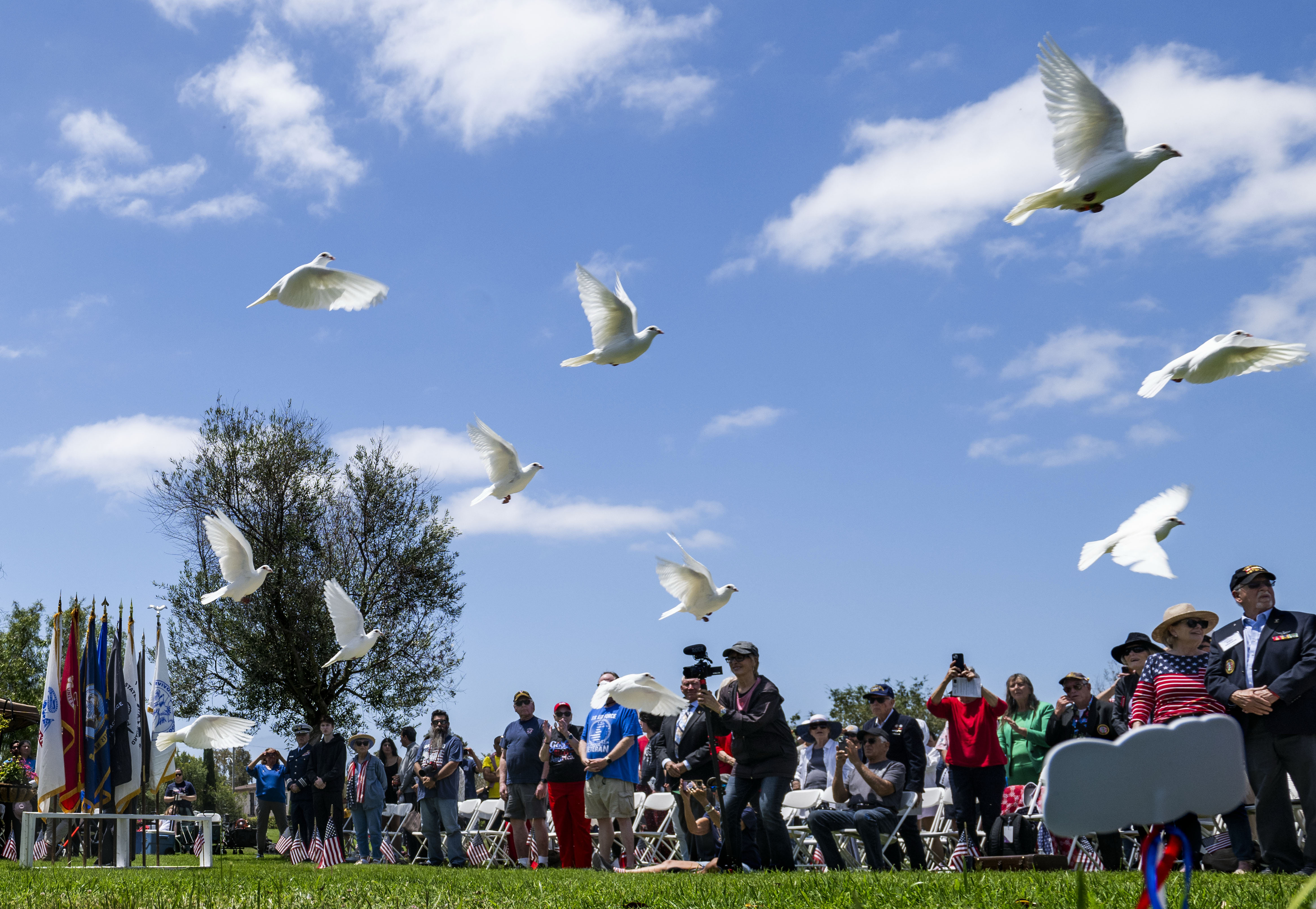 Doves are released during the Memorial Day ceremony at Harbor...