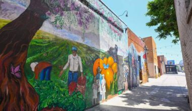 After decades-long fight, Santa Ana adopts a plan to preserve its Chicano murals – Orange County Register