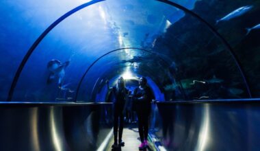 SeaWorld San Diego changes shark story from apex predators to endangered species – Orange County Register