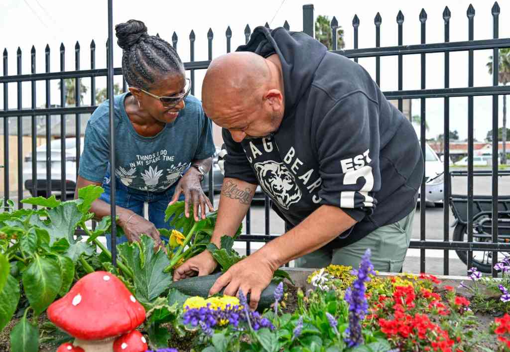 Westminster opens its first community garden – Orange County Register