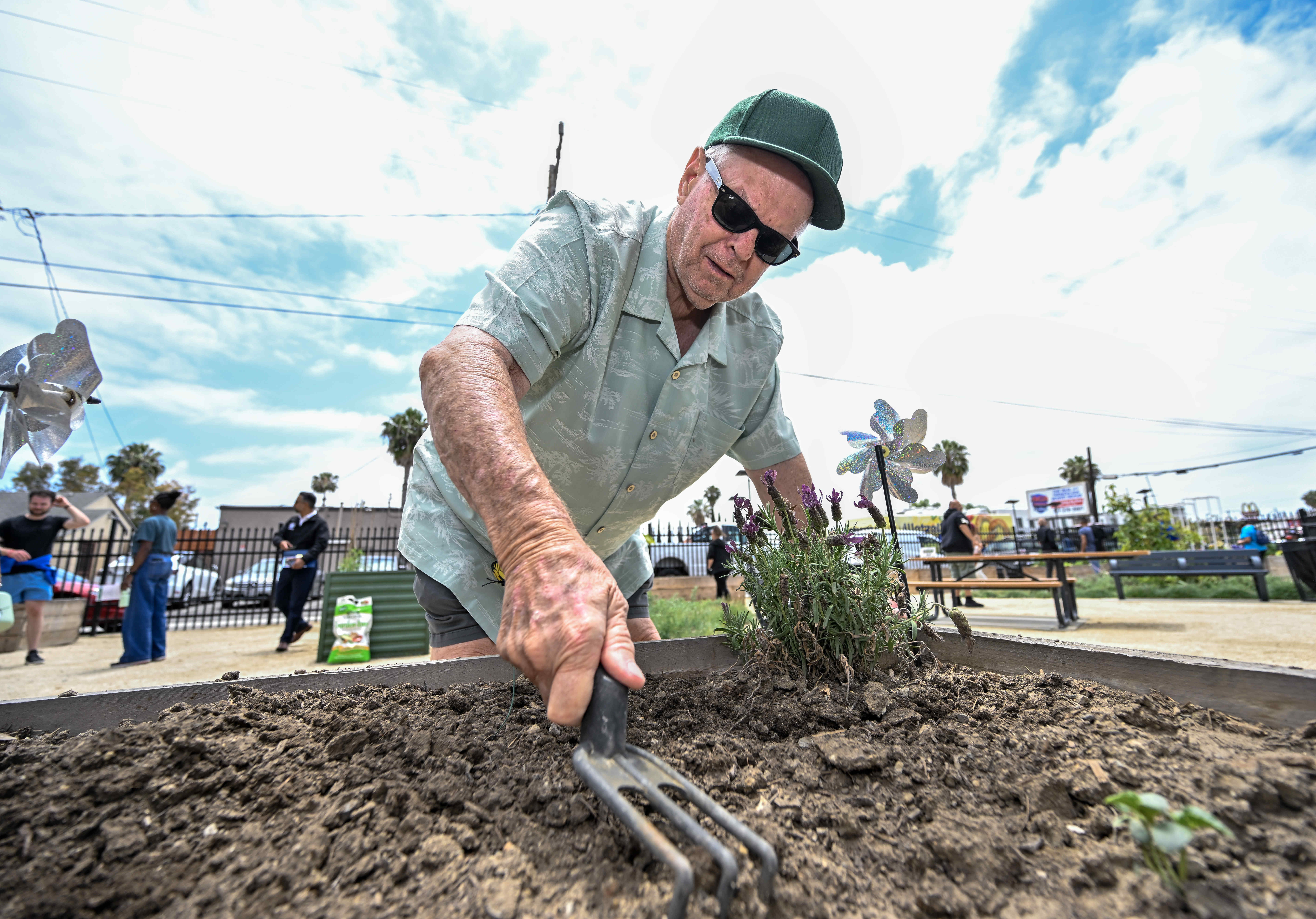 Lance Williams of Westminster uses a claw tool to aerate...