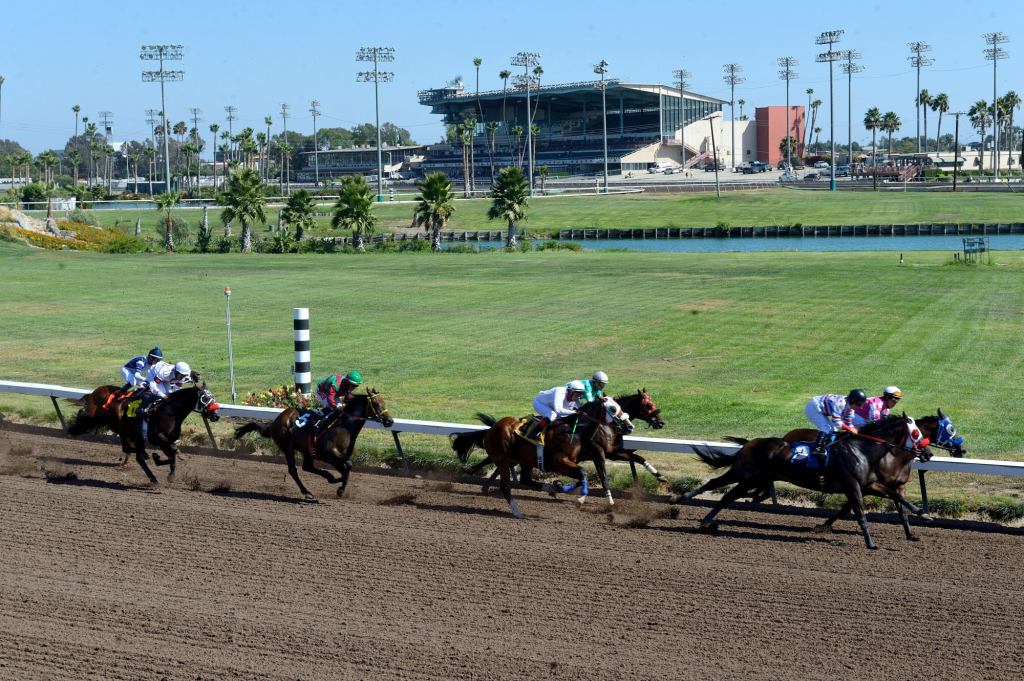 Los Alamitos calls off Saturday horse races amid Garden Grove hazmat crisis – San Gabriel Valley Tribune