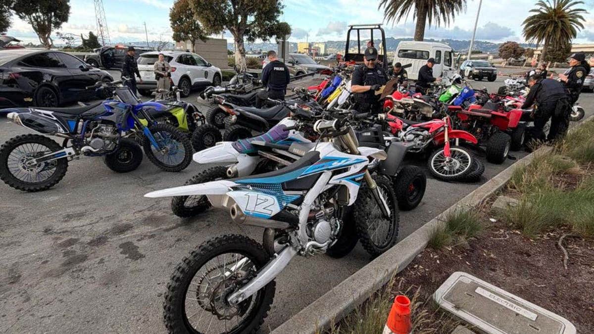 several bikes seized during bust
