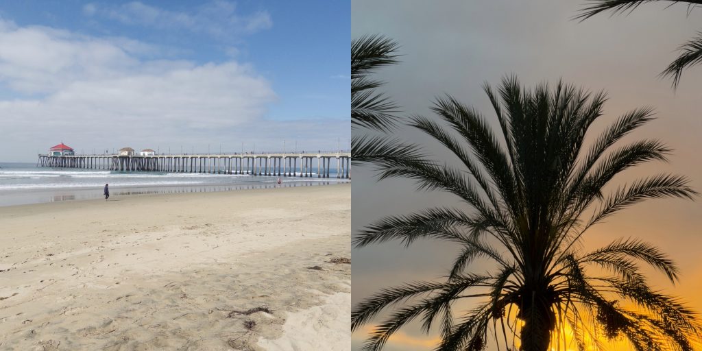 Left: Huntington Beach pier. Right: Palm tree at vibrant sunrise.