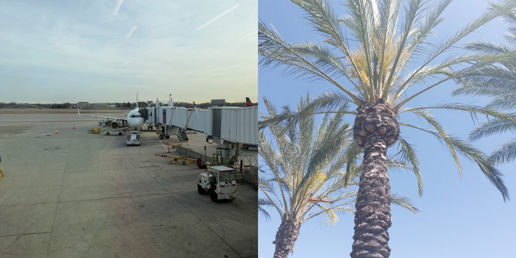 Left: Minneapolis-Saint Paul International Airport with airplace. Right: Palm tree in sunshine.