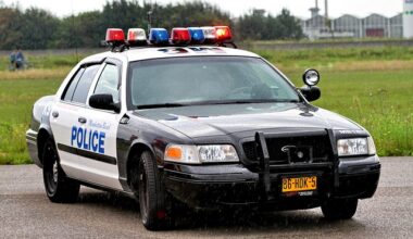 Sibichan Varghese Killed In Bakersfield Pedestrian Accident On Snow Road