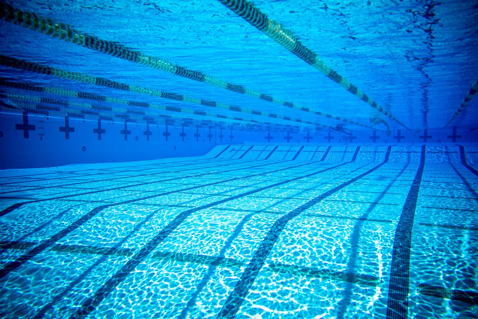 Charlie Hall, Son of Olympic Gold Medalist Gary Hall Jr., Wins Four Events at San Diego Sectional