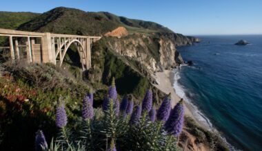 Big Sur: Parking ban planned at one of California’s most famous landmarks – Santa Cruz Sentinel
