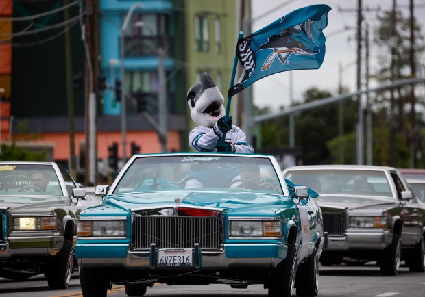 San Jose Sharks mascot S.J. Sharkie waves a flag as he heads south down South King Road in a vintage police car during the 3rd Annual San Jose Cinco de Mayo Cultural Parade & Festival in San Jose, Calif., on Sunday, May 3, 2026. (Nhat V. Meyer/Bay Area News Group)