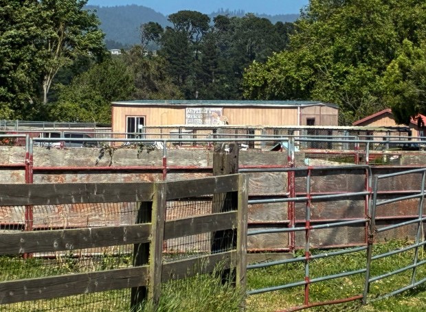 The Humboldt County Sheriff's Office is investigating allegations of abuse at Miranda's Rescue in Fortuna. (Eureka Times-Standard)