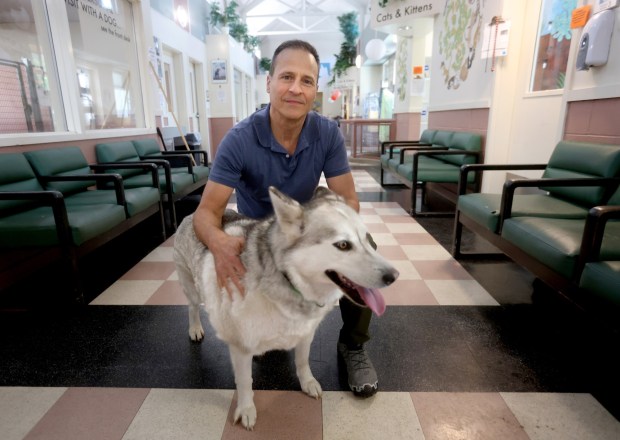 Oakland Animal Services Director Joe DeVries with a dog named Mesa at their shelter in Oakland, Calif., on Thursday, May 21, 2026. OAS is one of several agencies which was alerted about potential issues at Miranda's Rescue in Fortuna after multiple transferred dogs were euthanized without disclosure. (Jane Tyska/Bay Area News Group)