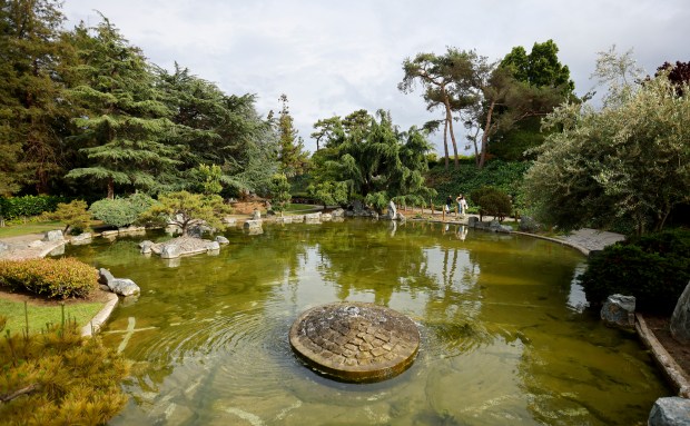 The Japanese Friendship Garden in Kelley Park in San Jose, Calif., on Monday, May 4, 2026. (Nhat V. Meyer/Bay Area News Group)