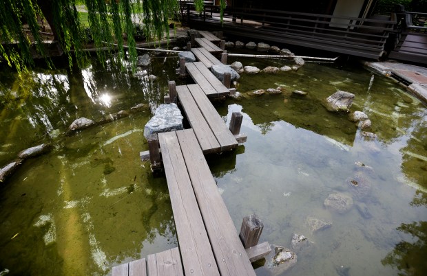 The Japanese Friendship Garden in Kelley Park in San Jose, Calif., on Monday, May 4, 2026. (Nhat V. Meyer/Bay Area News Group)