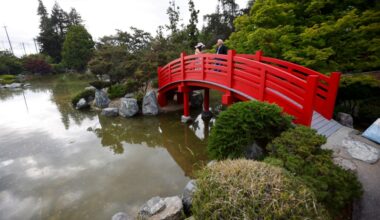 The Japanese Friendship Garden reopens inviting the public to the tranquil trails and ponds – The Mercury News
