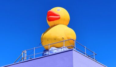 Artists open their studios; museum duck will finally get a name