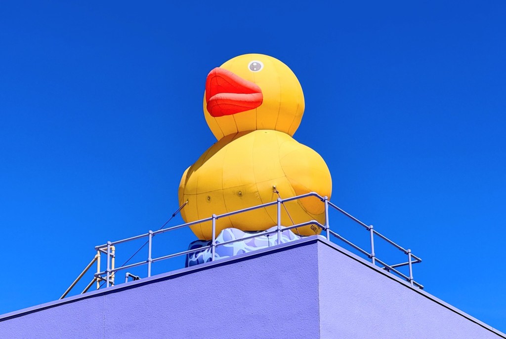 Artists open their studios; museum duck will finally get a name