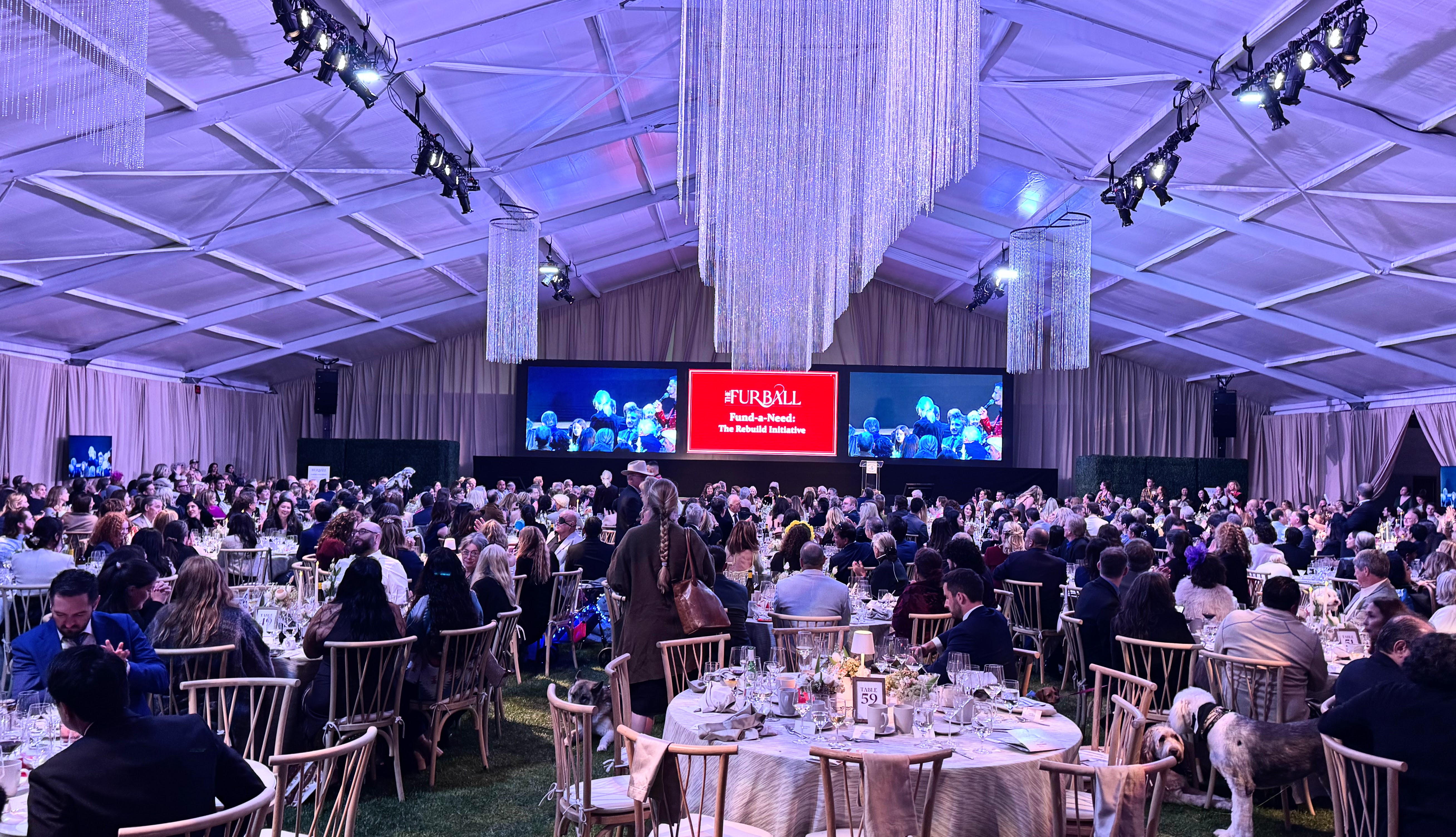 A crowd of 660 people -- not to mention dozens...