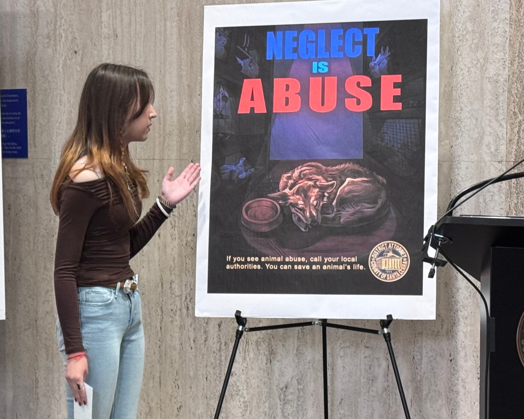 Santa Clara County DA’s student art contest takes aim at animal cruelty – The Mercury News