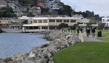 Tiburon day trip itinerary: Find solace in the stunning views and easy pace