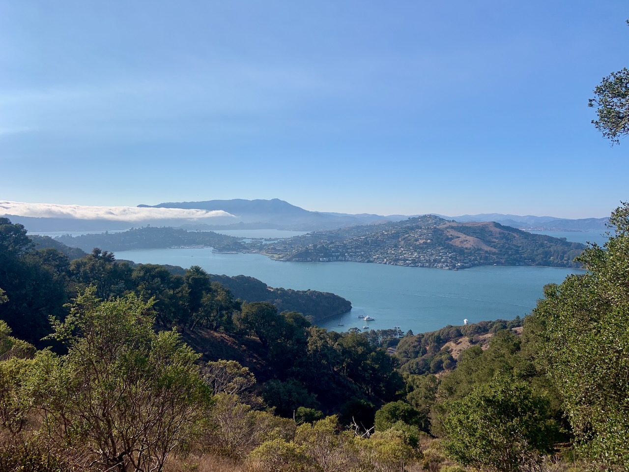 Angel Island, accessible only by boat, offers secluded and 360-degree...
