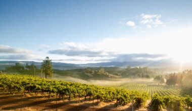 California dreaming: Alaska Airlines expands route network from Santa Rosa and returns to Long Beach with connection to Seattle