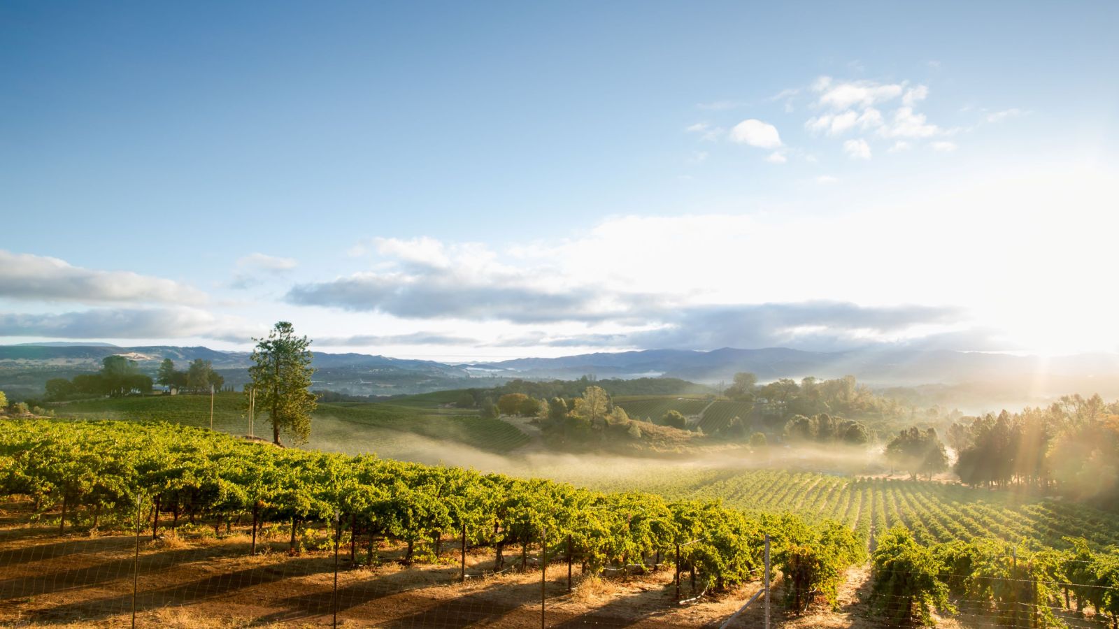 California dreaming: Alaska Airlines expands route network from Santa Rosa and returns to Long Beach with connection to Seattle