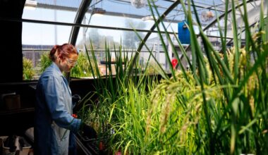 San Diego startup is hacking plant DNA to end farming’s chemical dependence – San Diego Union-Tribune