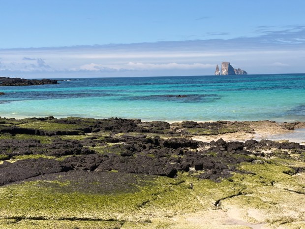 Kicker Rock, named because it resembles a boot, is one of the best places to snorkel and dive in the Galapagos. Between the volcanic formations there is an underwater channel where hammerhead sharks, rays and turtles roam. (Eleanor Yang Su)
