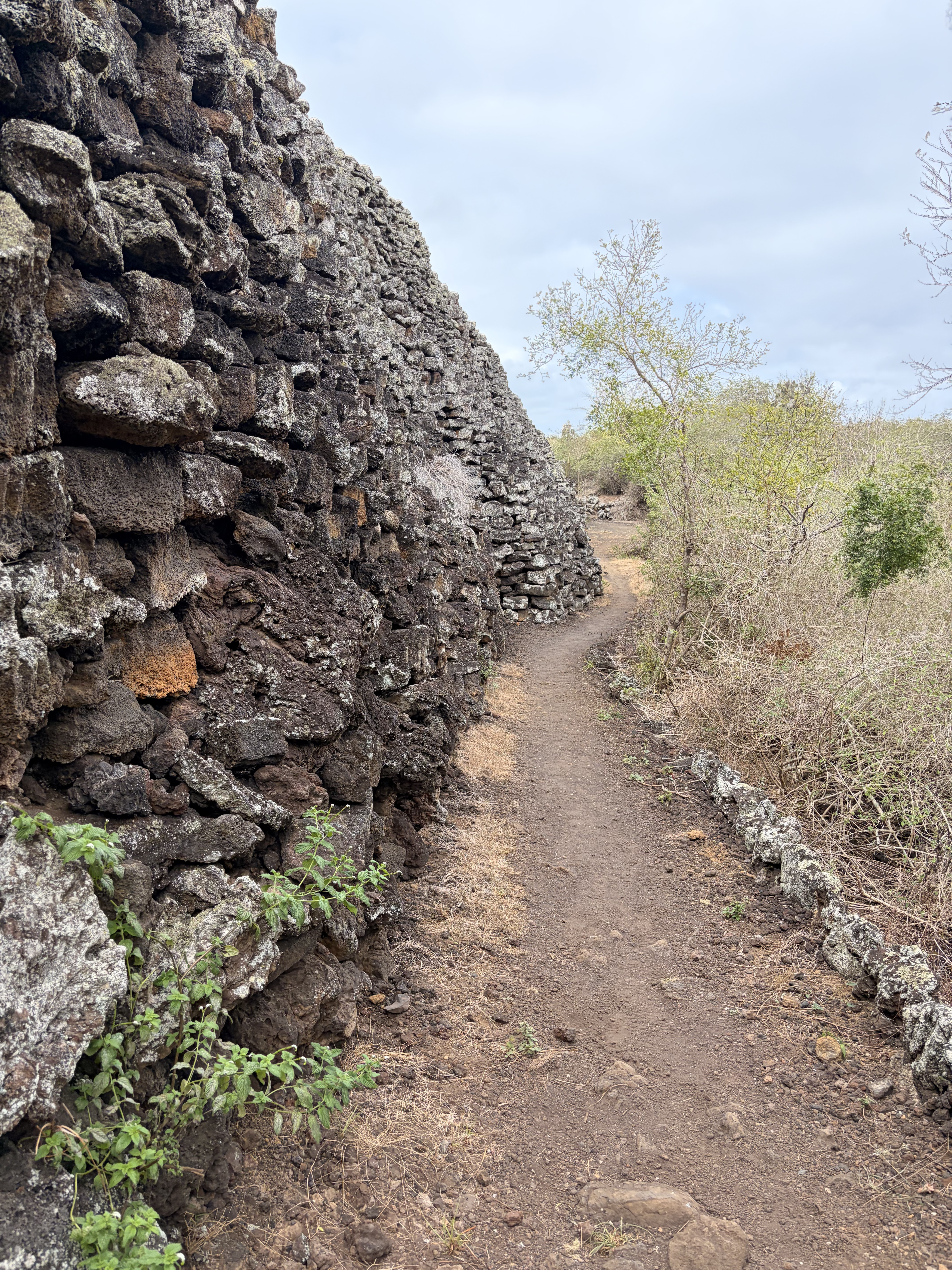 The Wall of Tears was built by prisoners stationed on...