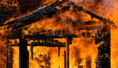 Working with California’s new ‘Zone Zero’ home fire safety perimeter – San Diego Union-Tribune