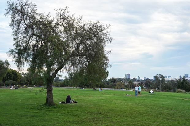 The general view of Bird Park at Morley Field on Thursday, Nov. 13, 2025 in San Diego, CA. (Michael Ho / For The San Diego Union-Tribune)