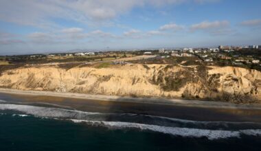 Possible drowning victim found on Black’s Beach later died at hospital – San Diego Union-Tribune