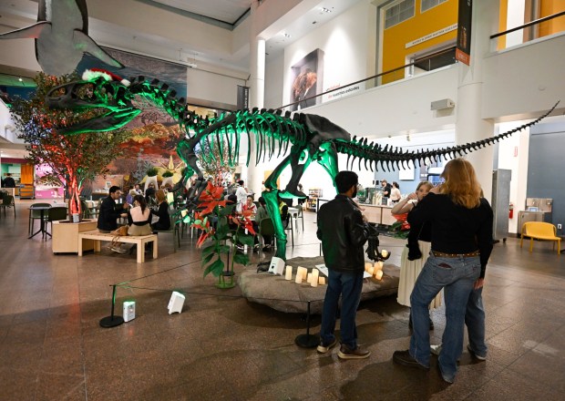 Visitors enjoy Nat at Night at the San Diego Natural History Museum Dec.19, 2025 in San Diego, Calif. (Denis Poroy / For the San Diego Union-Tribune)