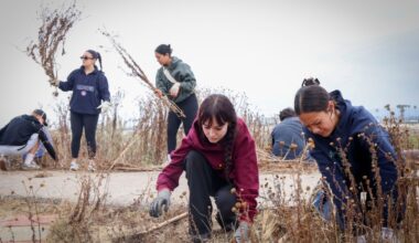 Volunteers pick weeds in OB as part of San Diego River Days