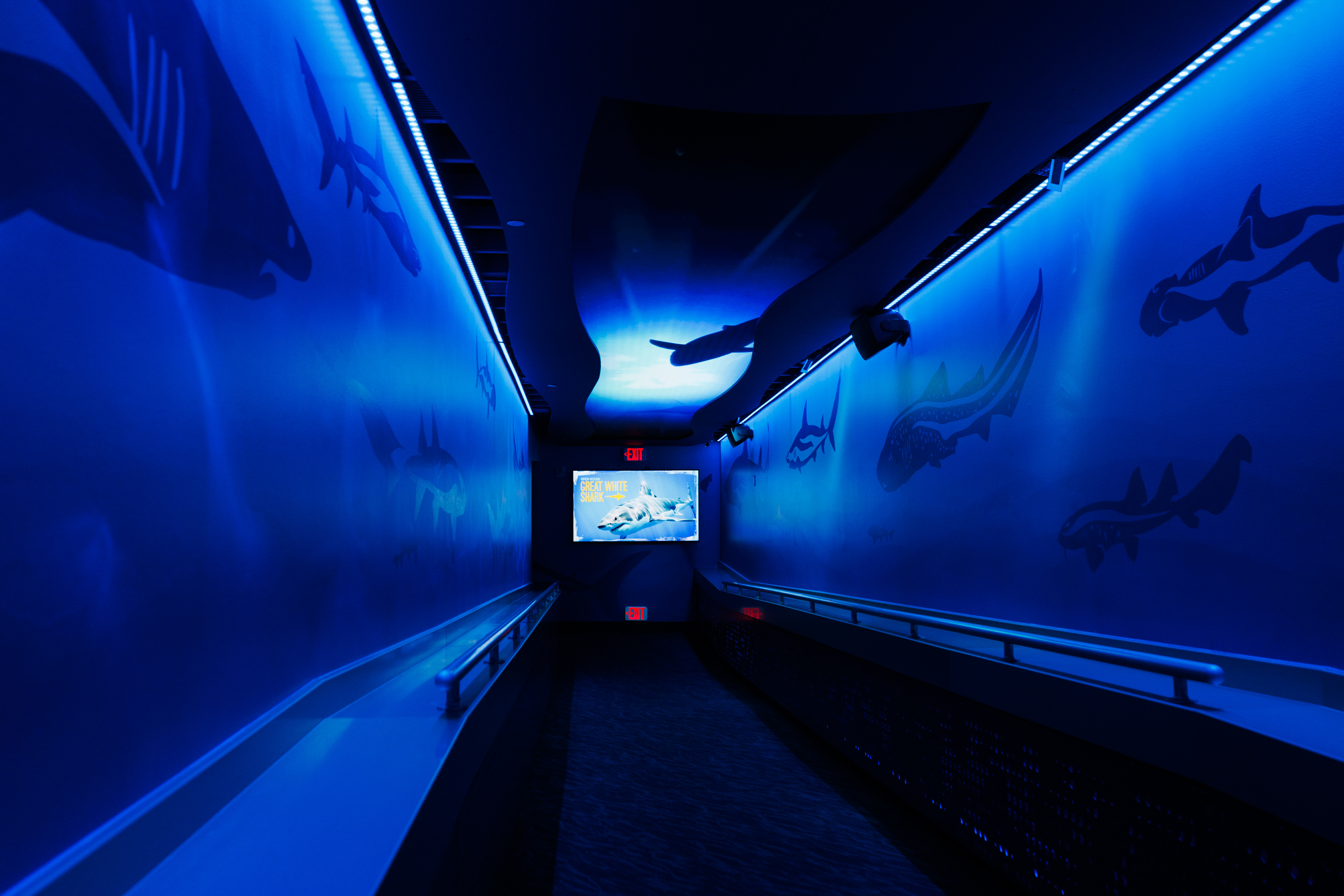 A hallway that leads to the tunnel viewing at the...