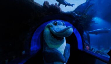 Sharks and beer: SeaWorld is giving the people what they want – San Diego Union-Tribune