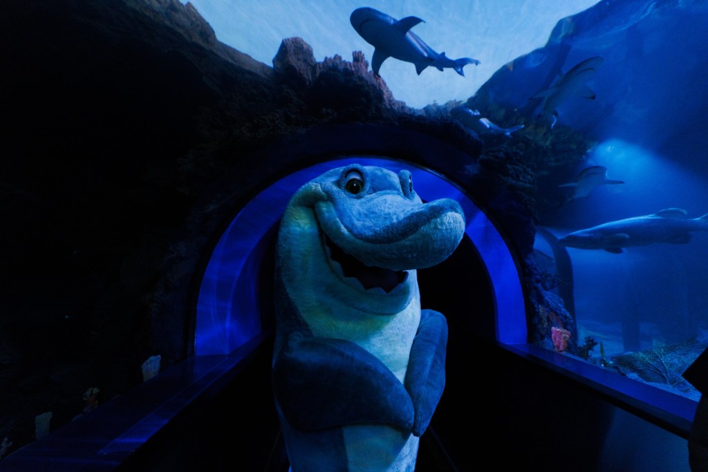 Sharks and beer: SeaWorld is giving the people what they want – San Diego Union-Tribune