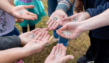 Plastic pellets are small in size, but a much bigger headache for the environment – San Diego Union-Tribune
