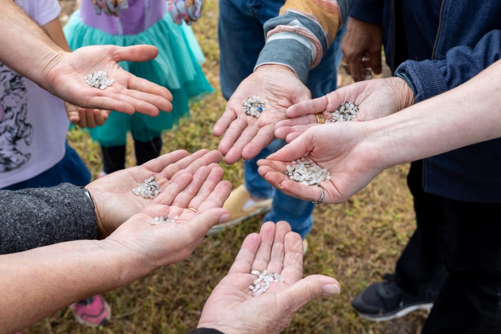 Plastic pellets are small in size, but a much bigger headache for the environment – San Diego Union-Tribune
