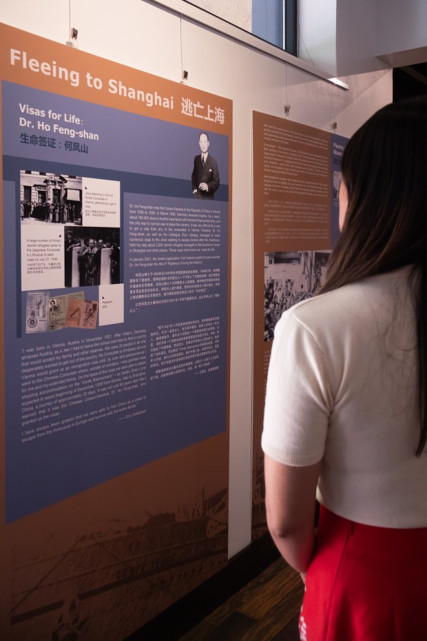 Stephanie Garth, museum program coordinator at the San Diego Chinese Historical Museum, observes the "Shanghai, Homeland Once Upon a Time Jewish Refugees and Shanghai" exhibit, which takes a look at Jews who were granted visas to go to China during the Holocaust. It is on view through Sept. 6, 2026. (Howard Kung / SDCHM)