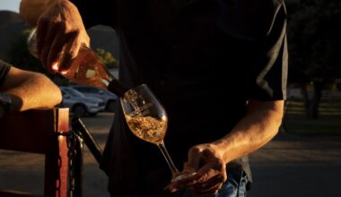 San Diego County wine industry wages remain steady as industry faces rising costs – San Diego Union-Tribune
