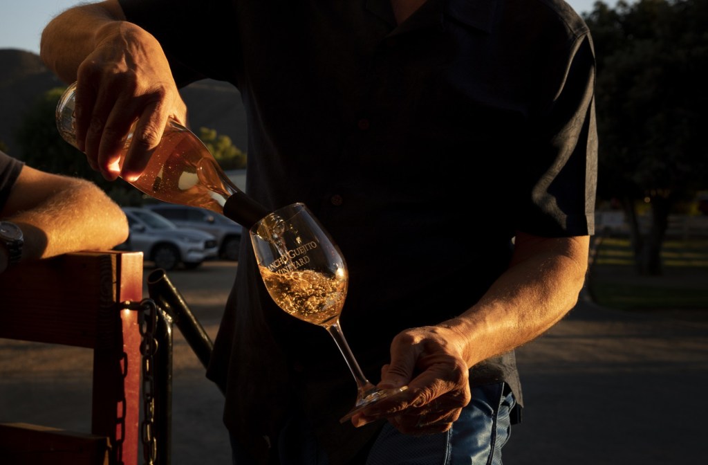 San Diego County wine industry wages remain steady as industry faces rising costs – San Diego Union-Tribune