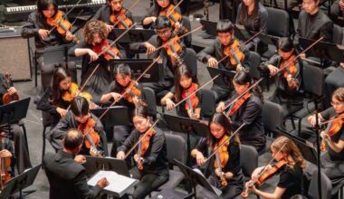 Members of San Diego arts community decry proposed cuts to arts funding – San Diego Union-Tribune