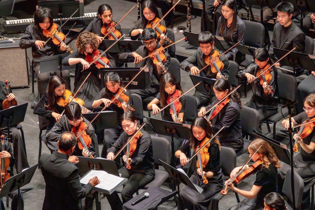 Members of San Diego arts community decry proposed cuts to arts funding – San Diego Union-Tribune