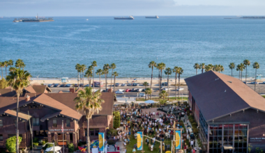 Summer Shows and Events at the Long Beach Museum of Art