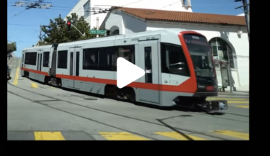 The Week in Short Video