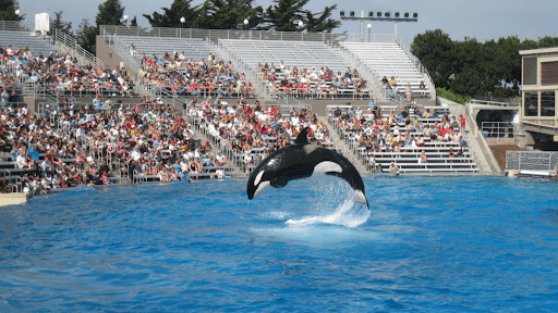 SeaWorld San Diego
