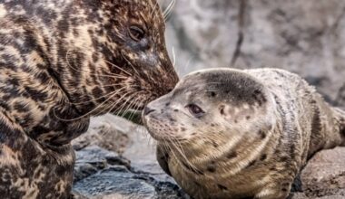 Find Mother’s Day adventures around SoCal – NBC Los Angeles