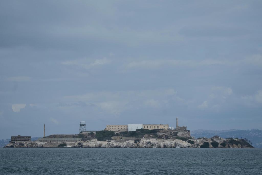 Male coyote swam 2 miles to Alcatraz Island